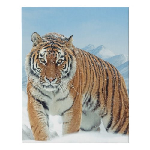 Tiger Snow Nature Photo Mountains Winter Canvas