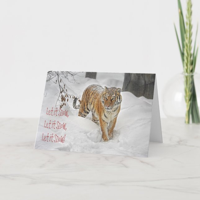 Tiger Snow Path Holiday Card (Front)