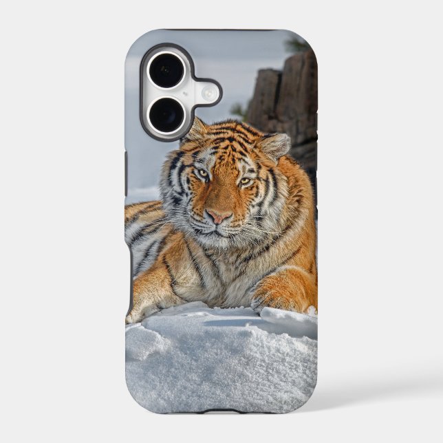 Tiger Snow Portrait Iphone Case (Back)
