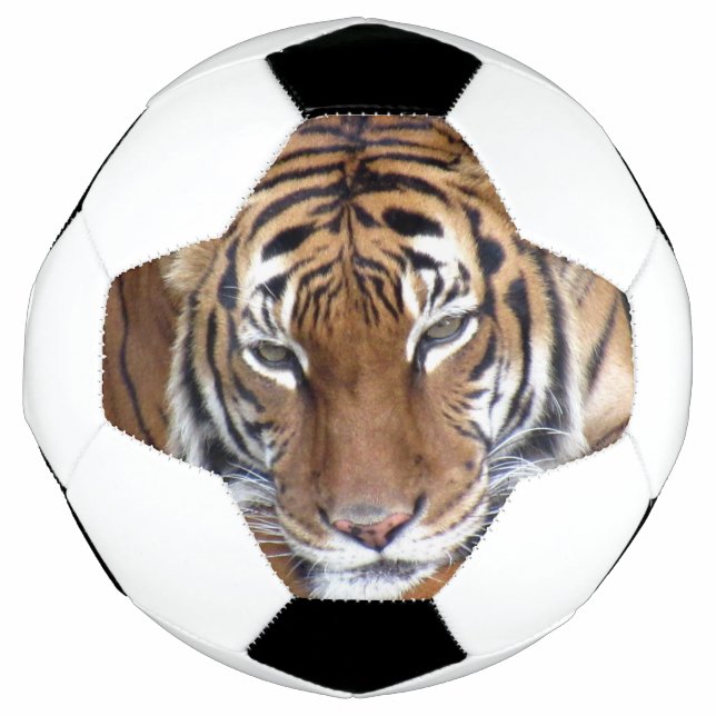 Tiger - Soccer Ball (Front)