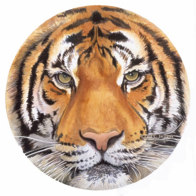 "Tiger Spot" Tiger Face Watercolor Art Statuette (Front)