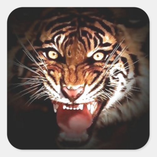 Tiger Square Sticker