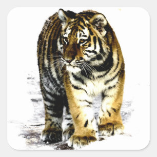 Tiger Square Sticker