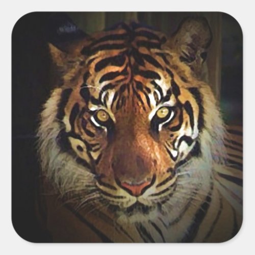 Tiger Square Sticker