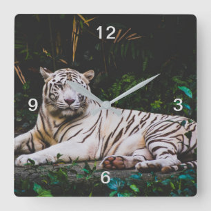 Tiger Square Wall Clock