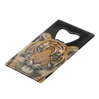 Tiger 🐯 Stainless Steel Bottle Opener