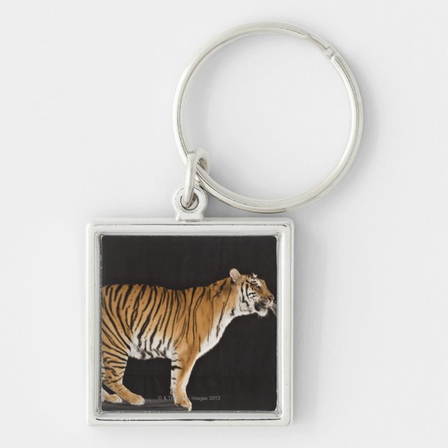 Tiger standing on platform keychain (Front)