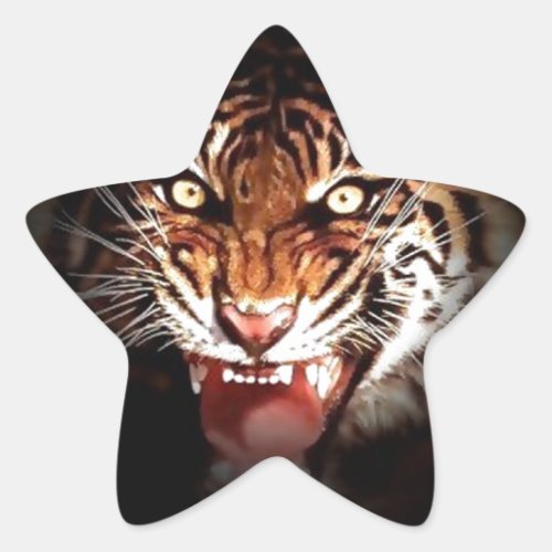 Tiger Star Sticker