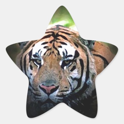 Tiger Star Sticker