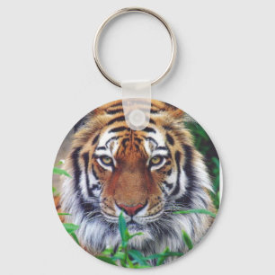 Tiger Stare Keychain