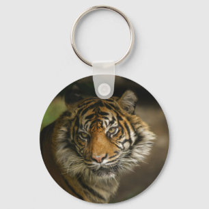 Tiger Stare Keychain