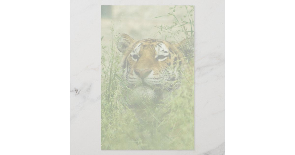 tiger stationary stationery | Zazzle