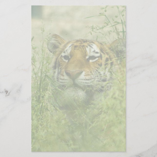 tiger stationary stationery (Front)