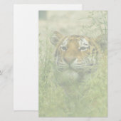 tiger stationary stationery | Zazzle
