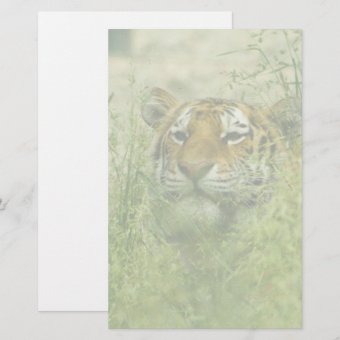 tiger stationary stationery | Zazzle