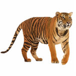 tiger statuette<br><div class="desc">beautiful tiger</div>