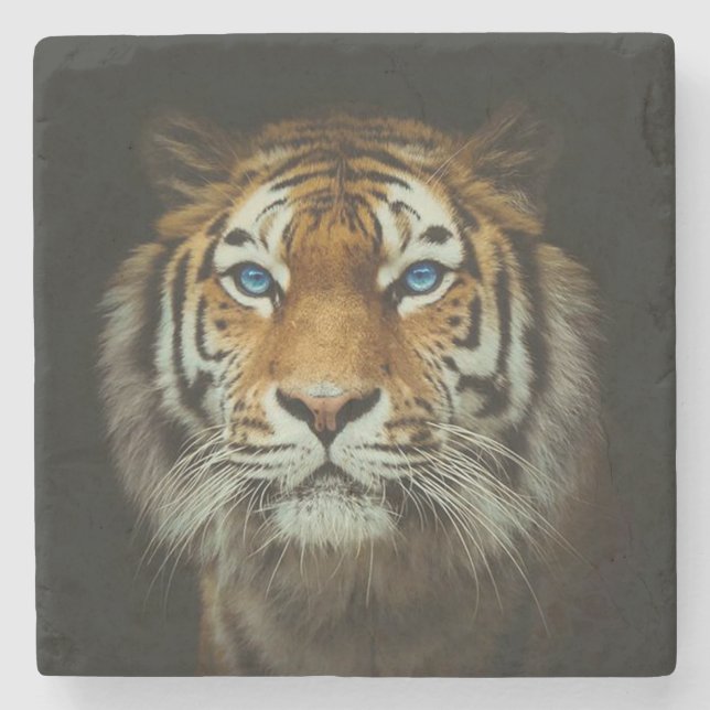 Tiger Stone Coaster (Front)
