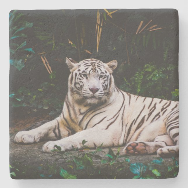 Tiger Stone Coaster (Front)