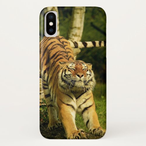 Tiger Stretching Good Morning World iPhone X Case