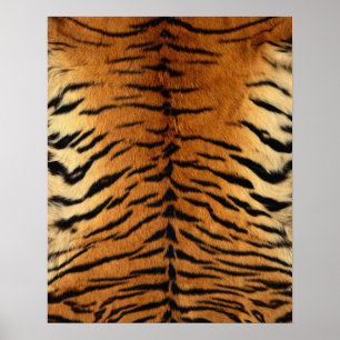 Tiger Stripe Fur Print