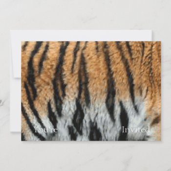 Tiger Stripe Print Pattern Background Invitation by warrior_woman at Zazzle