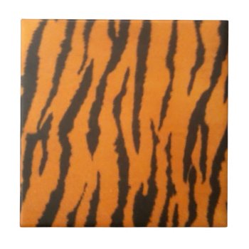 Tiger Striped Ceramic Tile by PattiJAdkins at Zazzle