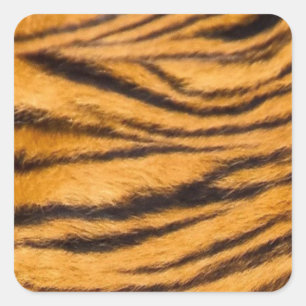 Tiger Stripes Fur Black and Orange Personalize it Square Sticker