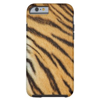 Tiger Stripes iPhone 6 case