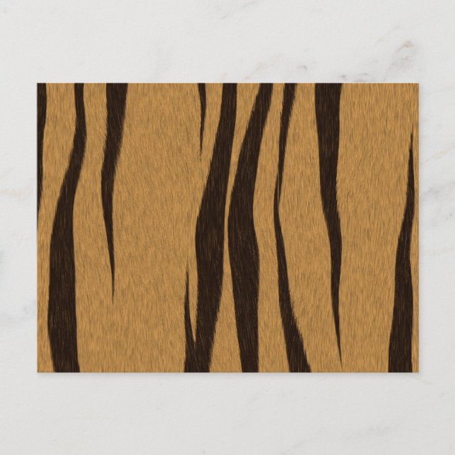Tiger Stripes Pattern Postcard (Front)