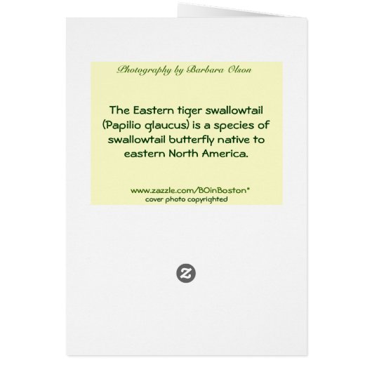 Tiger Swallowtail (Back)