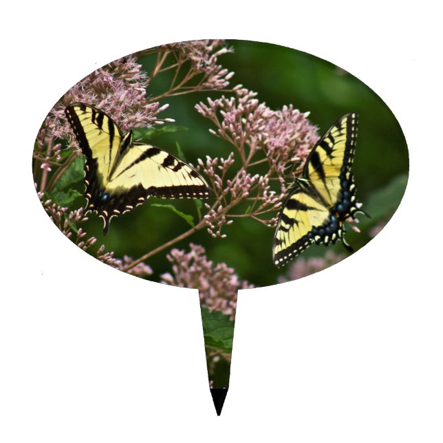 Tiger Swallowtail Butterflies on Joe Pye Weed Cake Topper (Front)