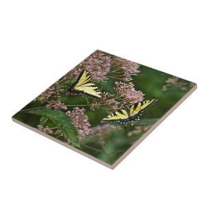 Tiger Swallowtail Butterflies on Joe Pye Weed Ceramic Tile