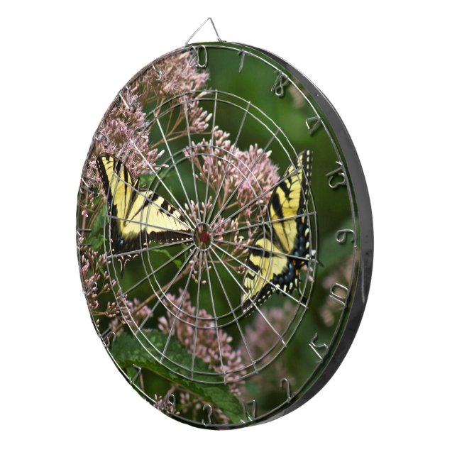 Tiger Swallowtail Butterflies on Joe Pye Weed Dartboard With Darts (Front Right)