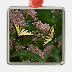 Tiger Swallowtail Butterflies on Joe Pye Weed Metal Ornament
