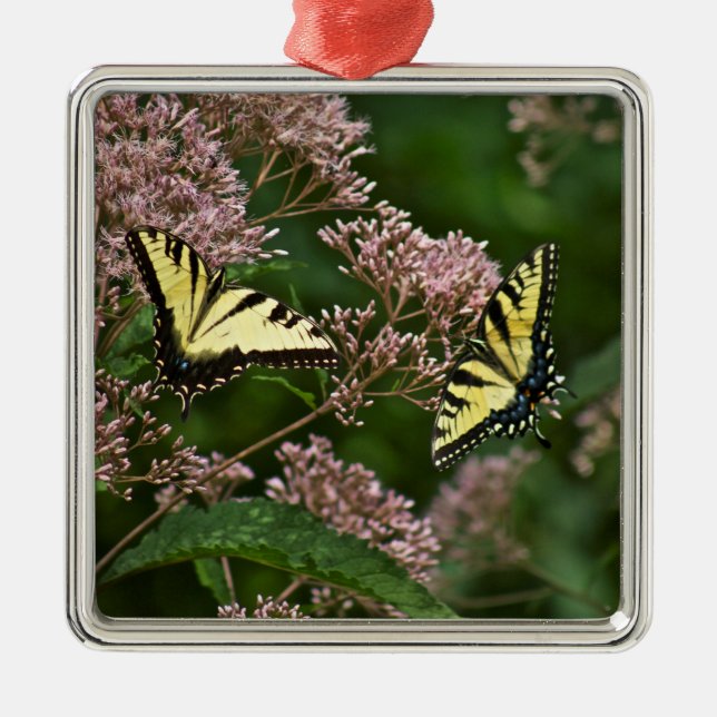 Tiger Swallowtail Butterflies on Joe Pye Weed Metal Ornament (Front)