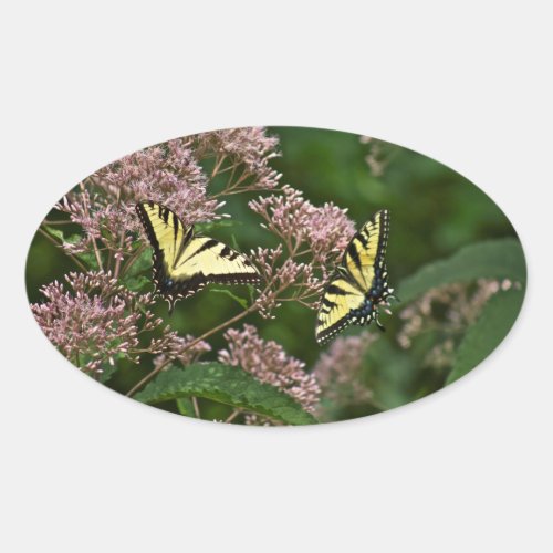 Tiger Swallowtail Butterflies on Joe Pye Weed Oval Sticker