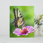 Tiger Swallowtail Butterfly (Standing Front)