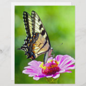 Tiger Swallowtail Butterfly (Front/Back)