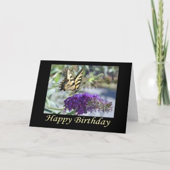 Tiger Swallowtail Butterfly Birthday Card by CarolsCamera at Zazzle