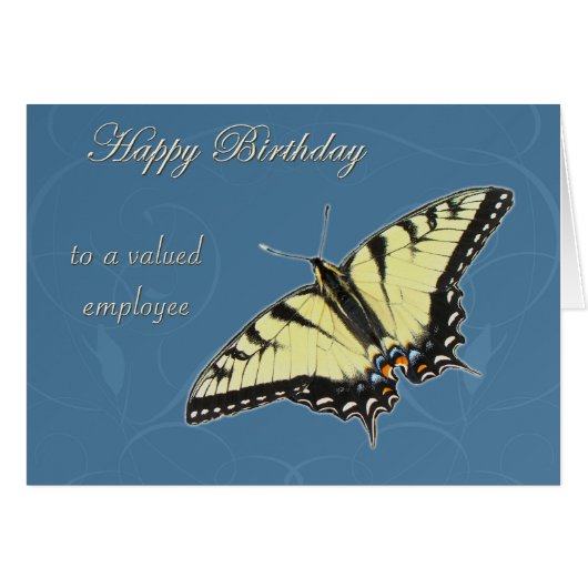 Tiger Swallowtail Butterfly Cards (Front Horizontal)