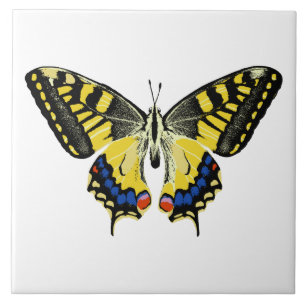 Tiger swallowtail butterfly ceramic tile