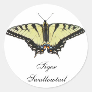 Tiger Swallowtail Butterfly Classic Round Sticker