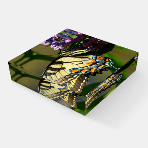 Tiger Swallowtail Butterfly Glass Paperweight