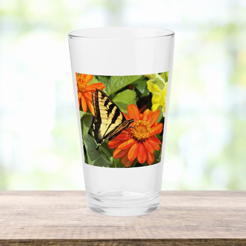 Tiger Swallowtail Butterfly On Orange Flower Glass