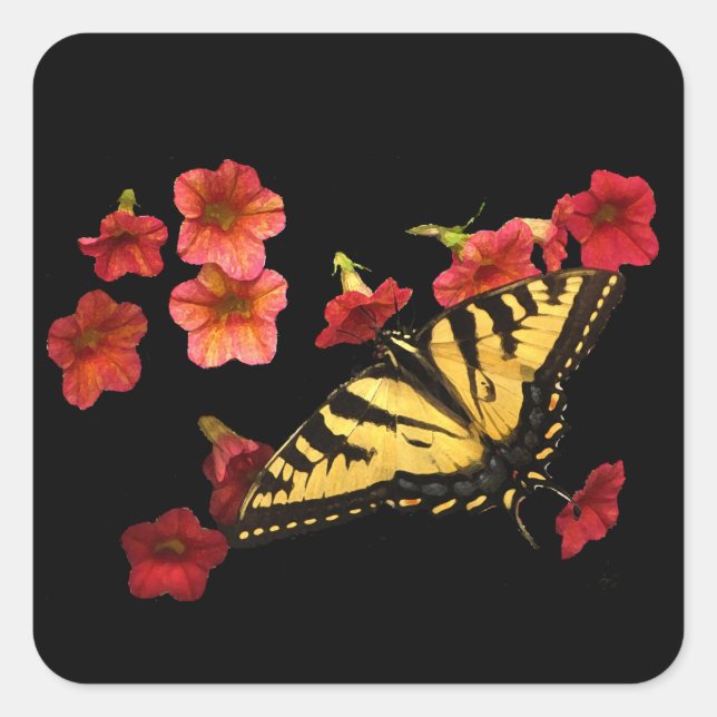 Tiger Swallowtail Butterfly on Red Flowers Square Sticker (Front)