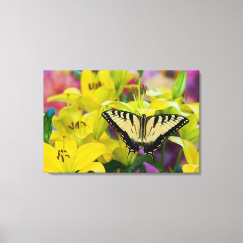Tiger Swallowtail Butterfly on Yellow Lilies Canvas Print