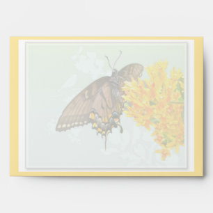 Tiger Swallowtail Butterfly (Papilio glaucas) Item Envelope