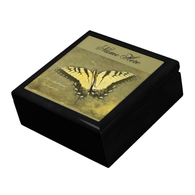 Tiger Swallowtail Butterfly - Papilio glaucus Gift Box (Side)