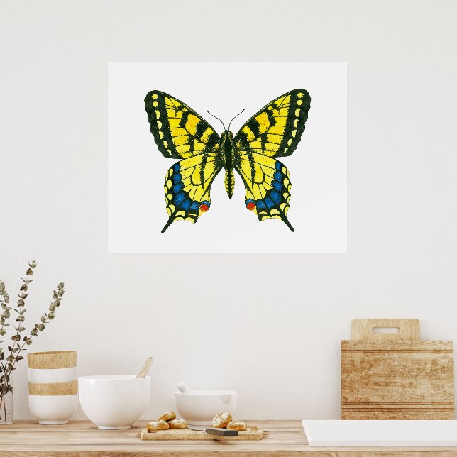 Tiger swallowtail butterfly poster (Kitchen)