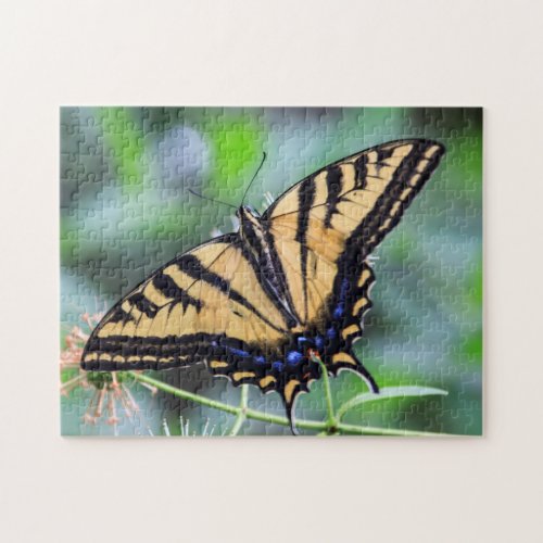 Tiger Swallowtail Butterfly Puzzle